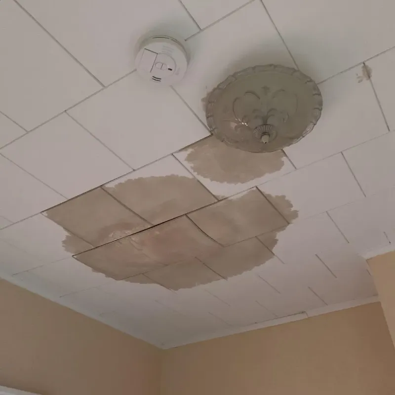 Ceiling Water Damage Repair in Dix Hills, NY